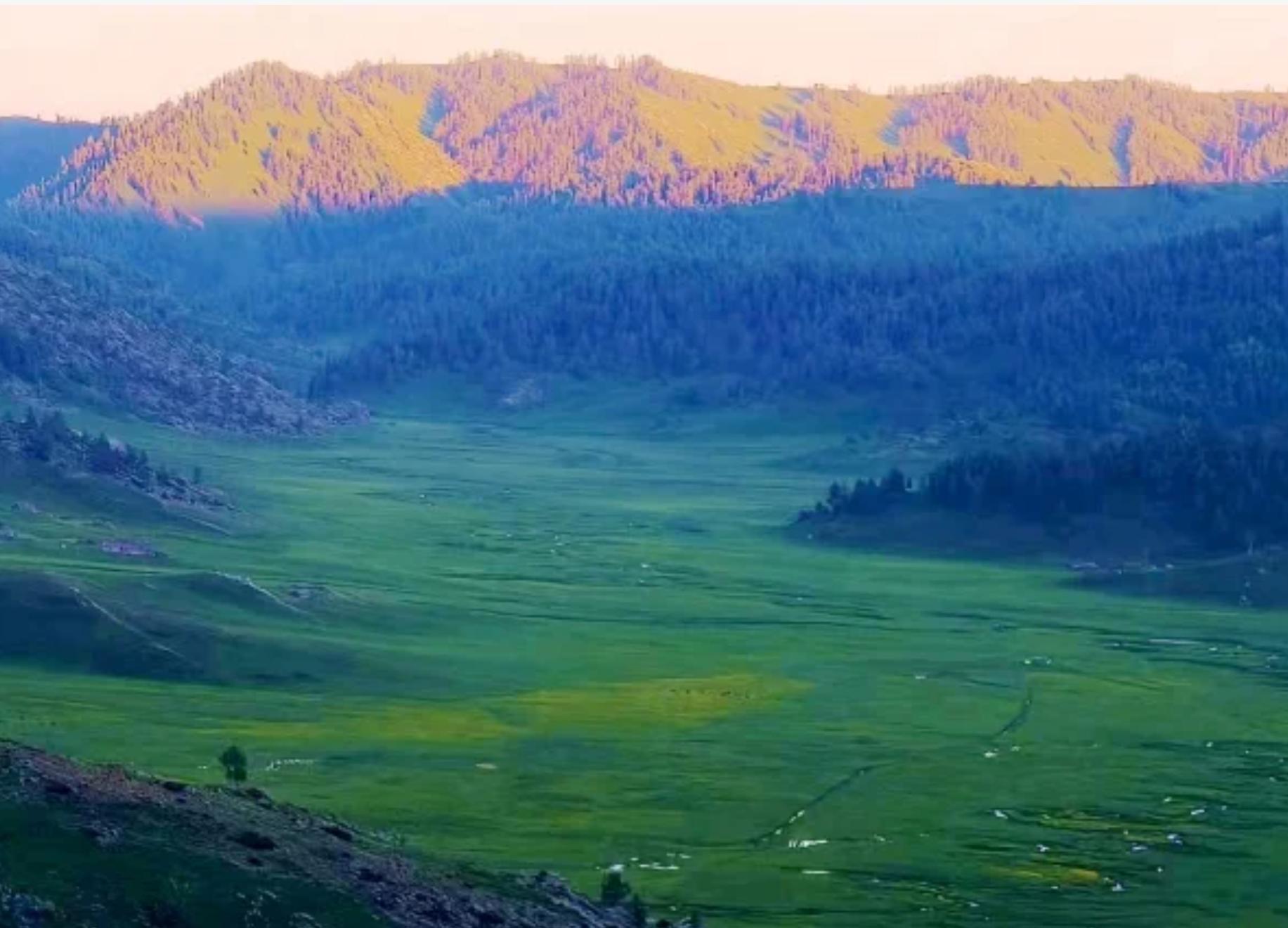 Wild Ili Northern Xinjiang
